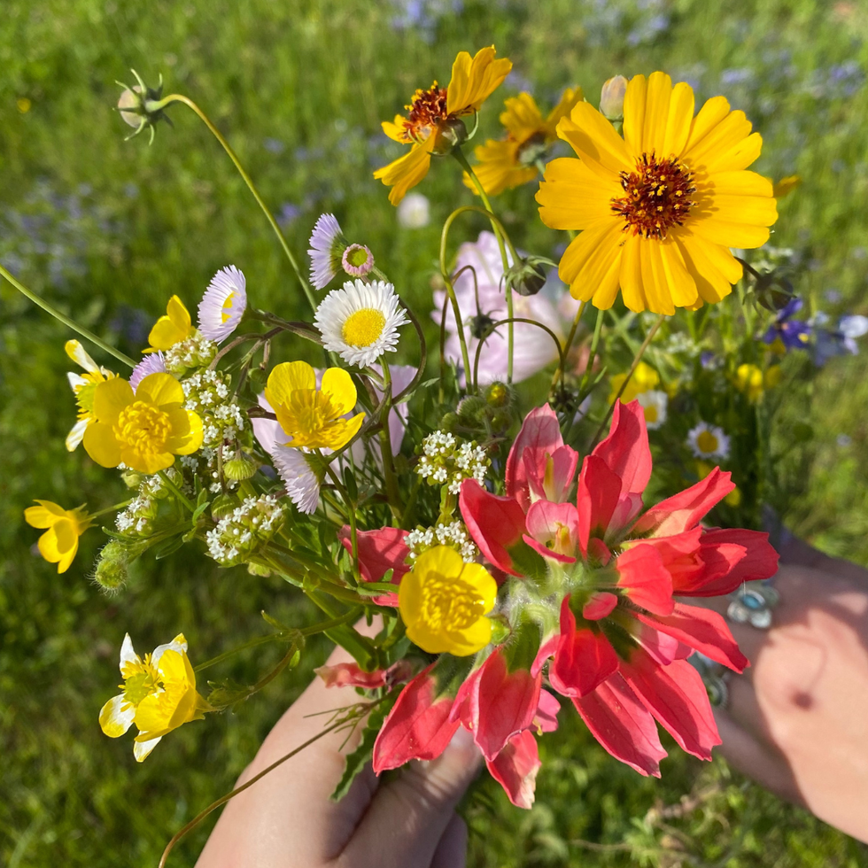Trader Joe\u2019s flowers