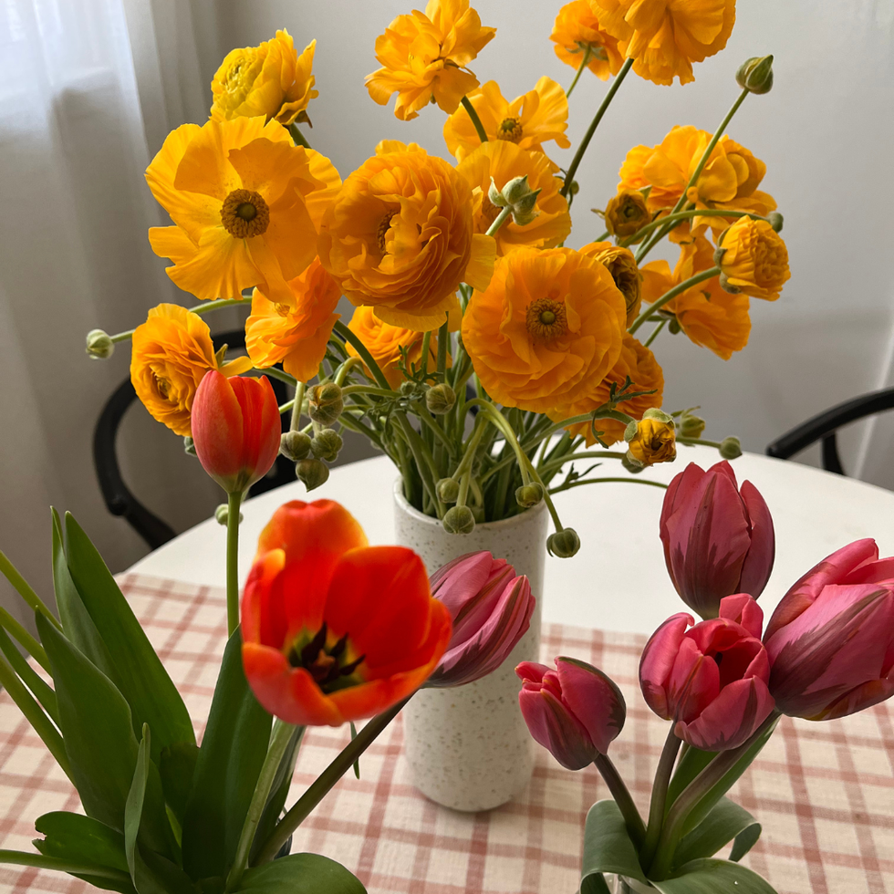 Trader Joe\u2019s flowers