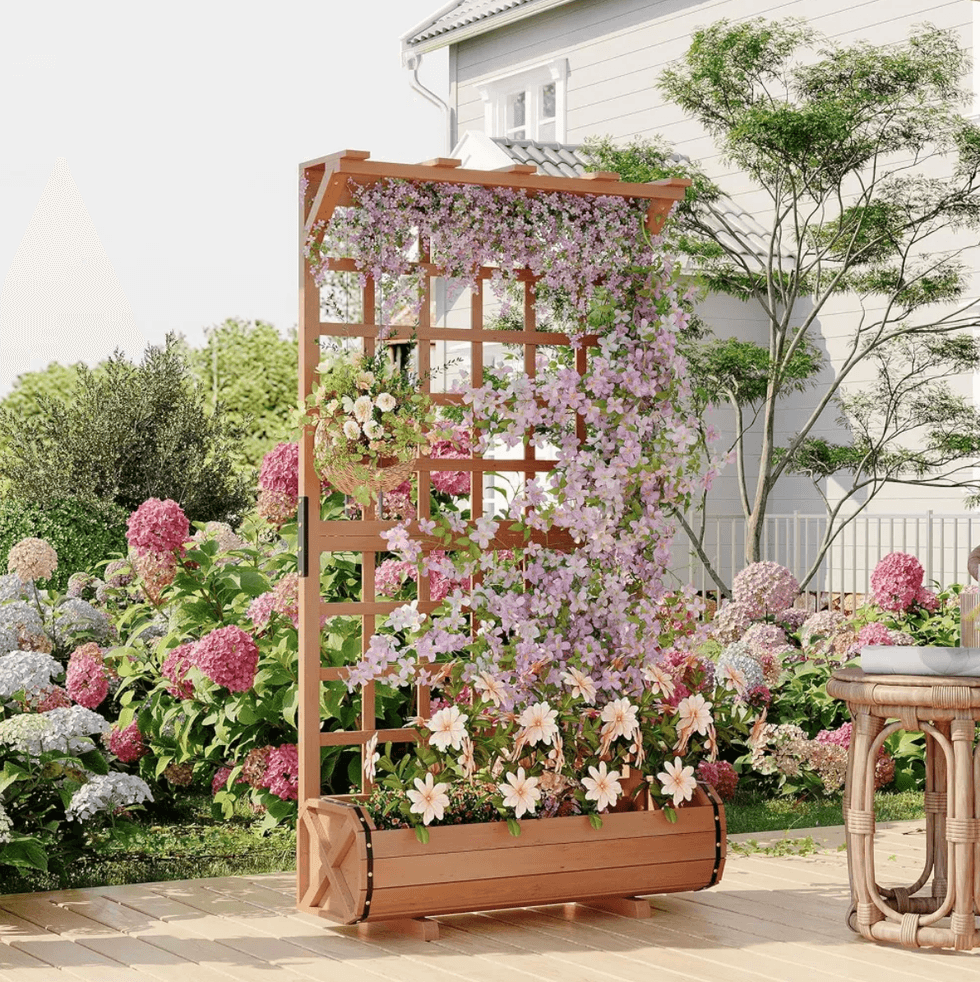 trellis