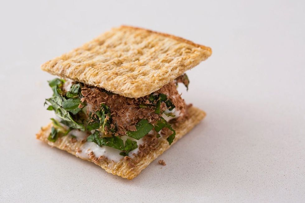 Triscuit Ice Cream Sandwich Recipe