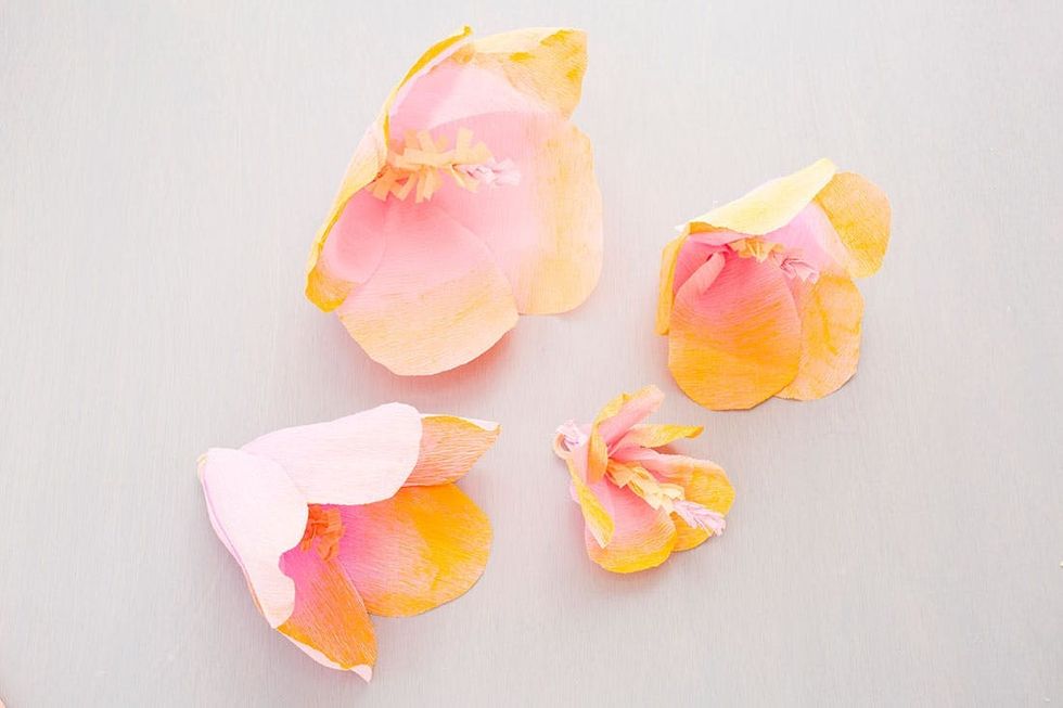 Tropical_Backdrop_019