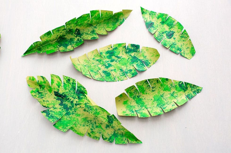 Tropical_Backdrop_023