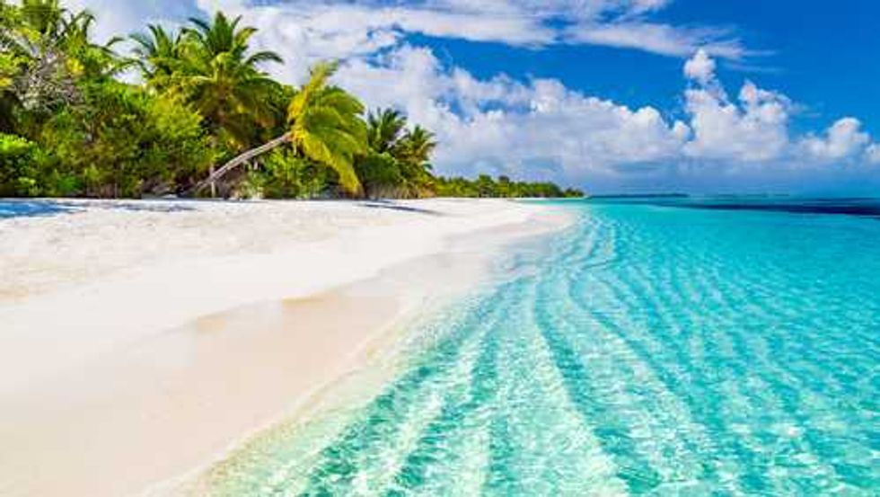 Tropical beach with clear turquoise water, white sand, and palm trees under a blue sky.