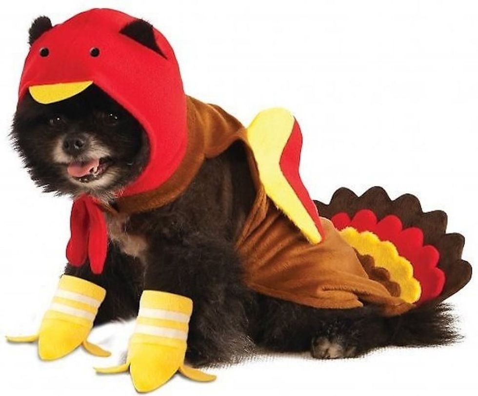 81 Dog Halloween Costume Ideas for Your Pooch Brit + Co Brit + Co
