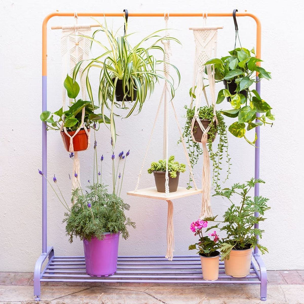 turn a clothing rack into a vertical garden