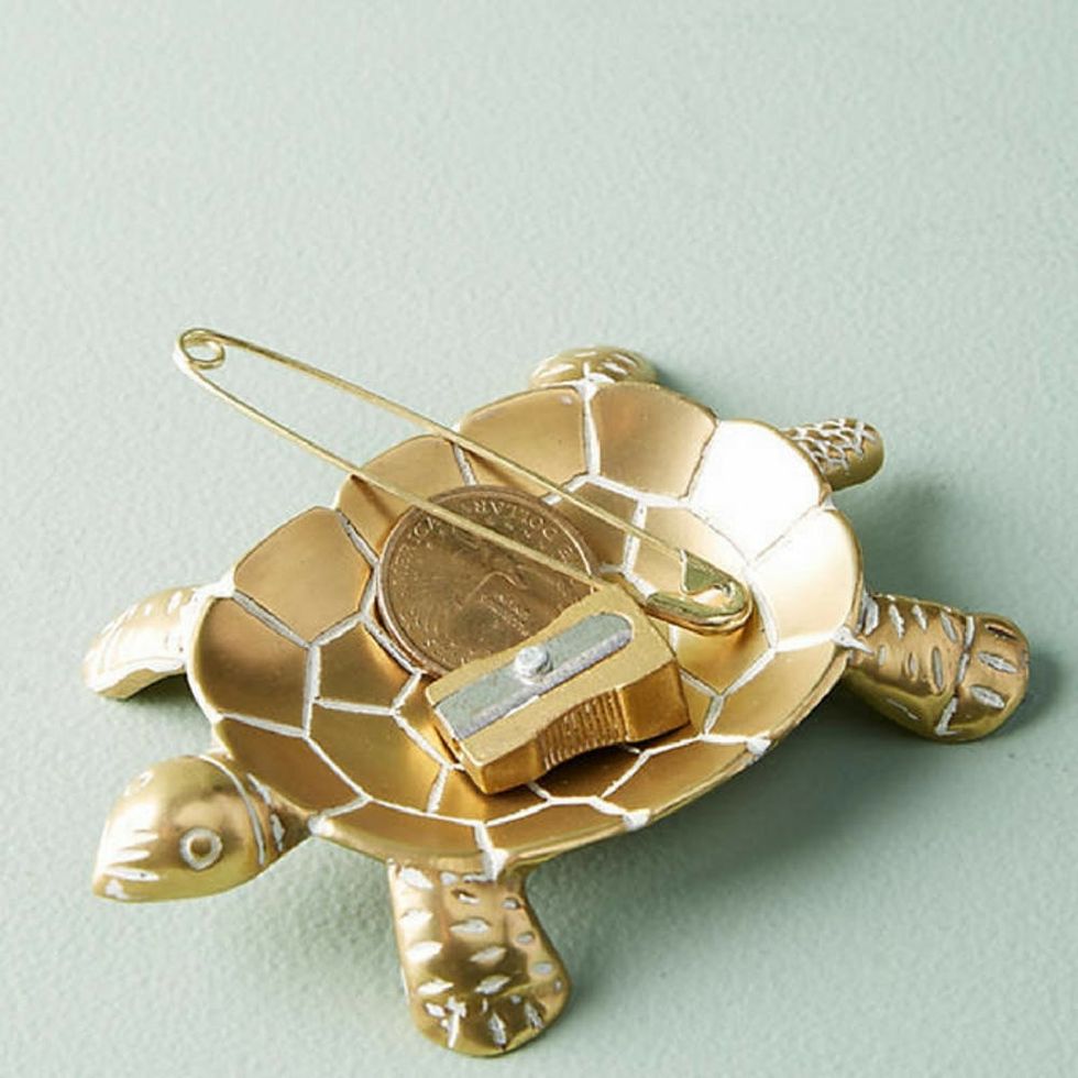 turtle dish