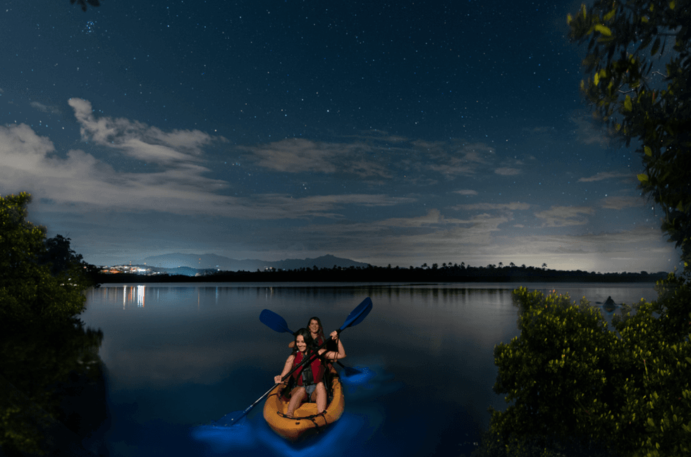 Two people kayaking on a starry night with glowing water.