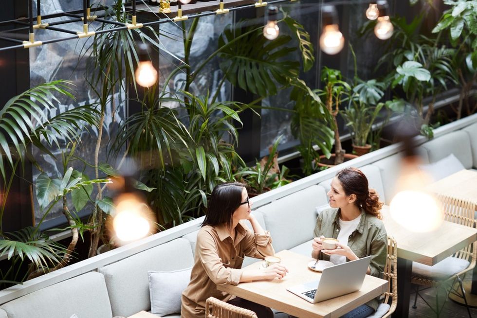 Two women chat over coffee at a plant-filled caf\u00e9 with a laptop on the table.