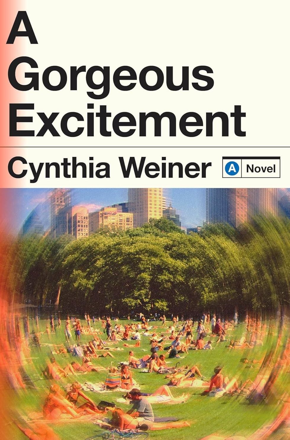 \u200b\u200bA Gorgeous Excitement\u200b\u200b by Cynthia Weiner