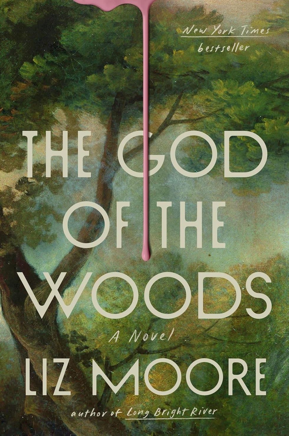 \u200b\u200bThe God of the Woods\u200b by Liz Moore