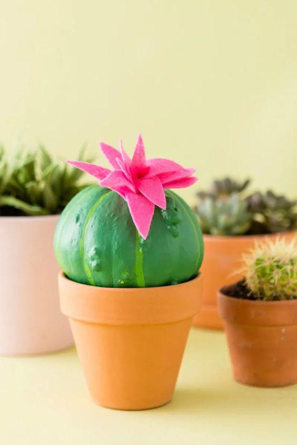 \u200bDIY Cactus Pumpkin