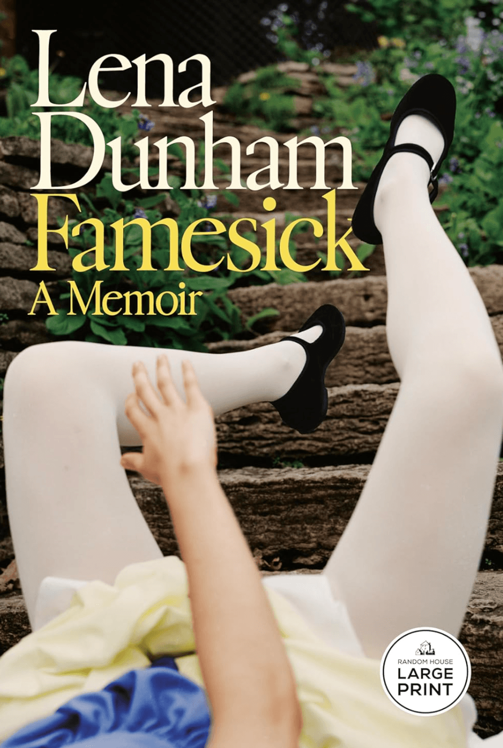 \u200bFamesick by Lena Dunham