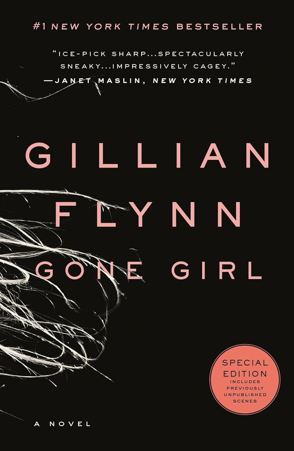\u200bGone Girl\u200b by Gillian Flynn \u200b