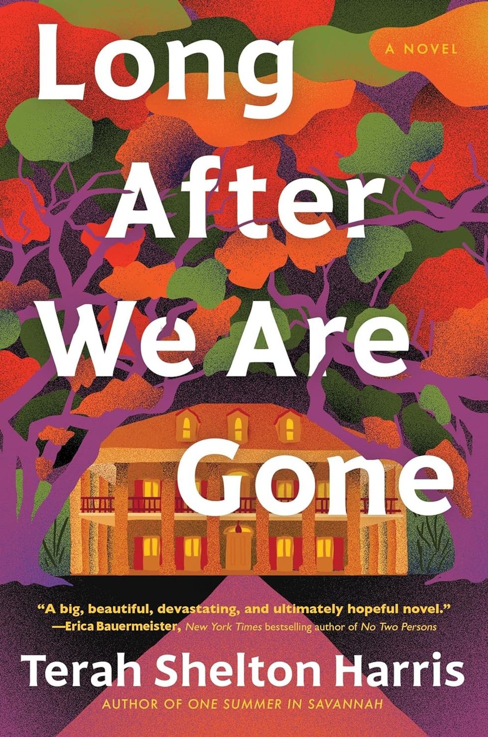 \u200bLong After We Are Gone by Terah Shelton Harris