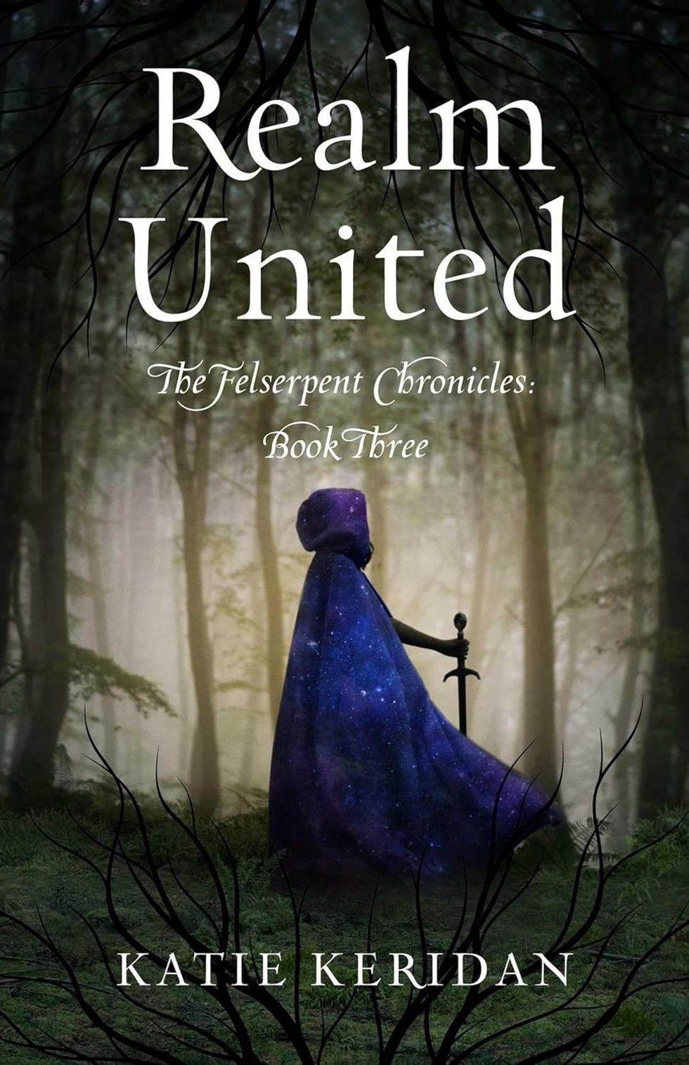 \u200bRealm United by Katie Keridan