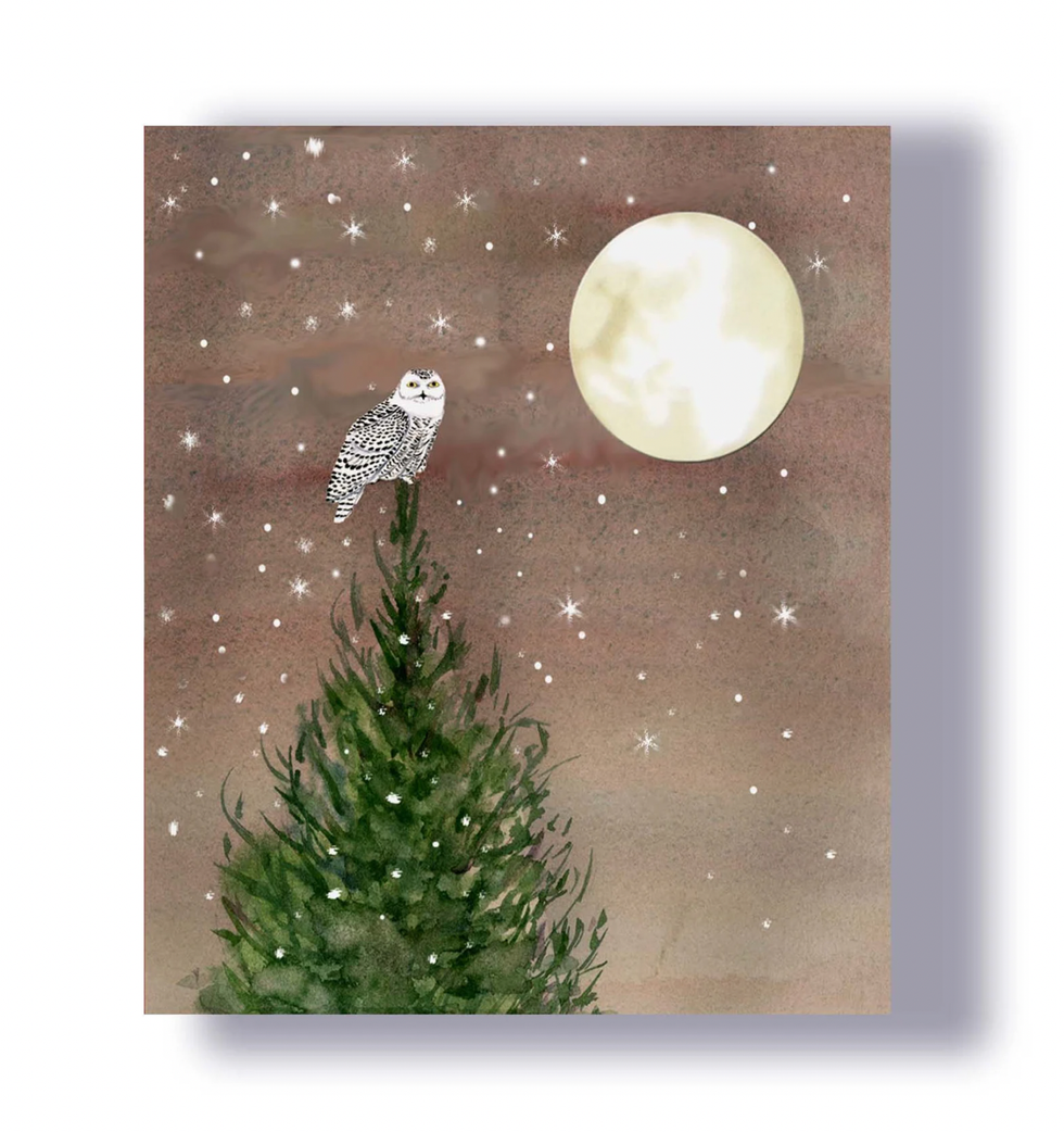 \u200bSnowy Owl Christmas Card