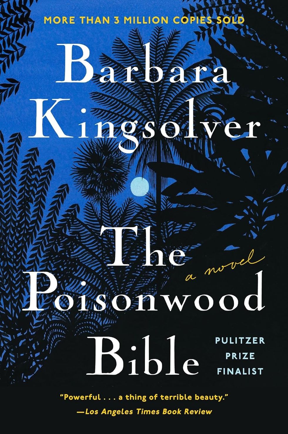 \u200bThe Poisonwood Bible by Barbara Kingsolver