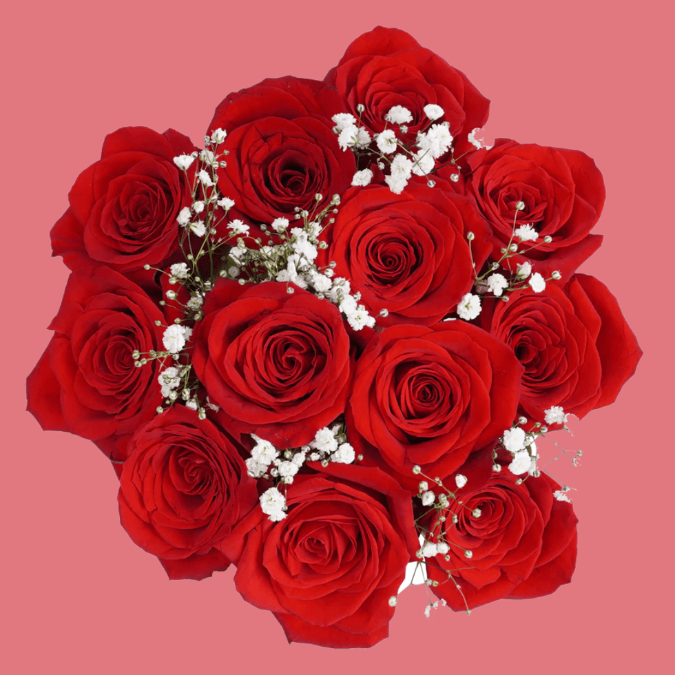 \u200bTrader Joe's Dozen Red Roses
