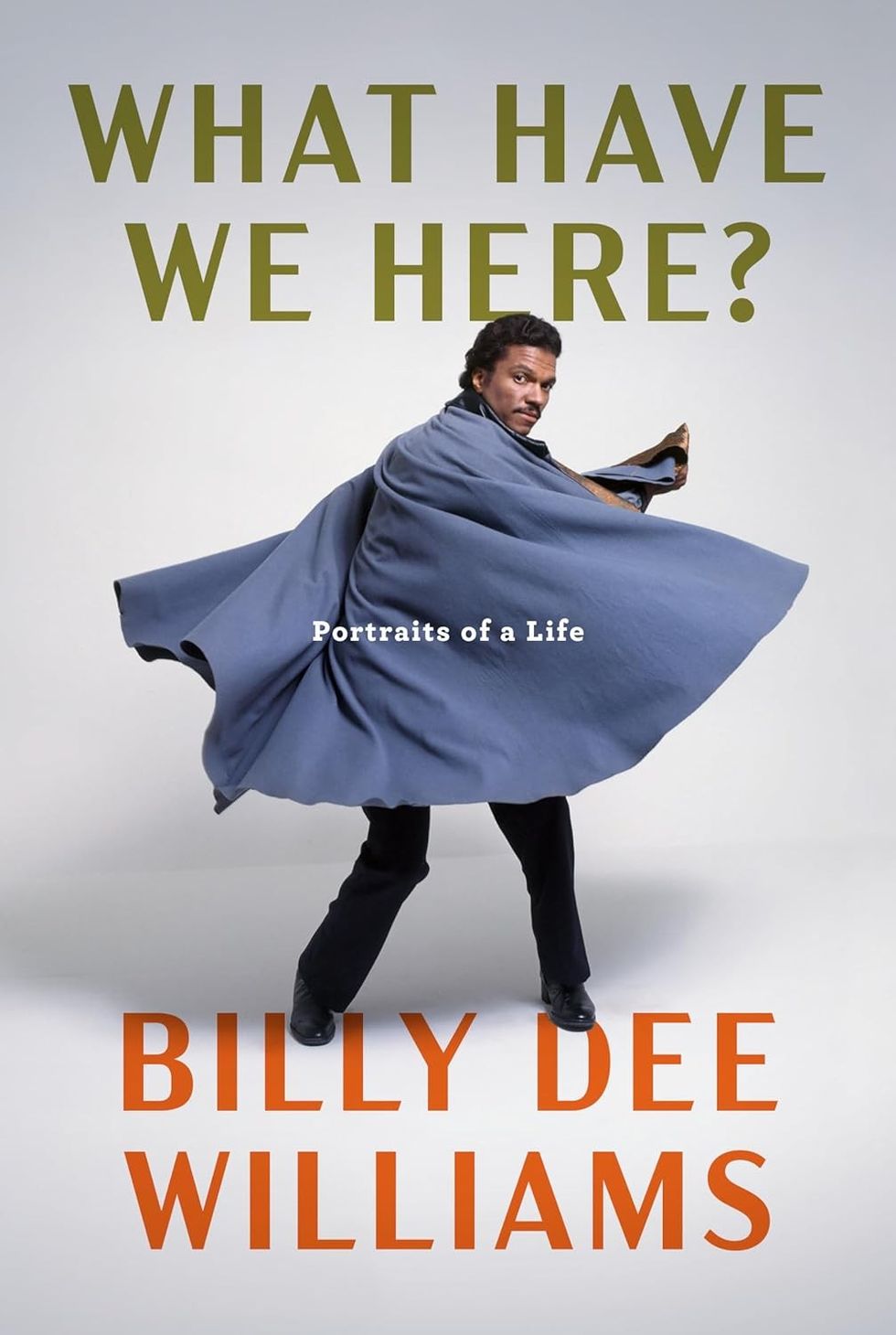\u200bWhat Have We Here?: Portraits of a Life by Billy Dee Williams