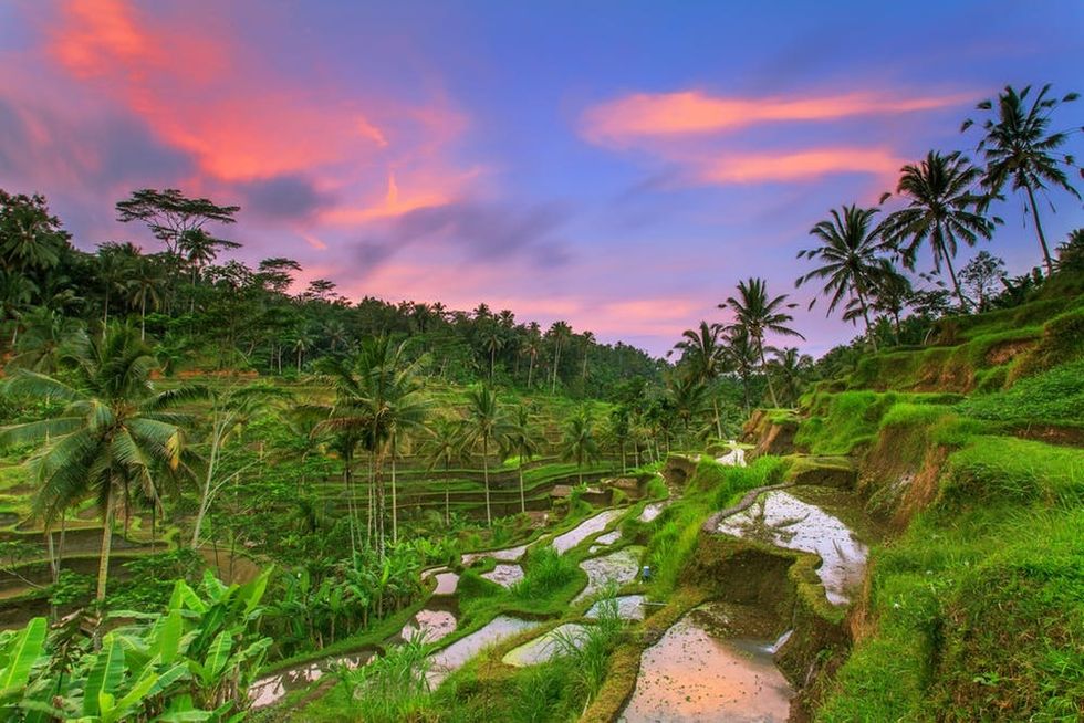 ubud bali indonesia