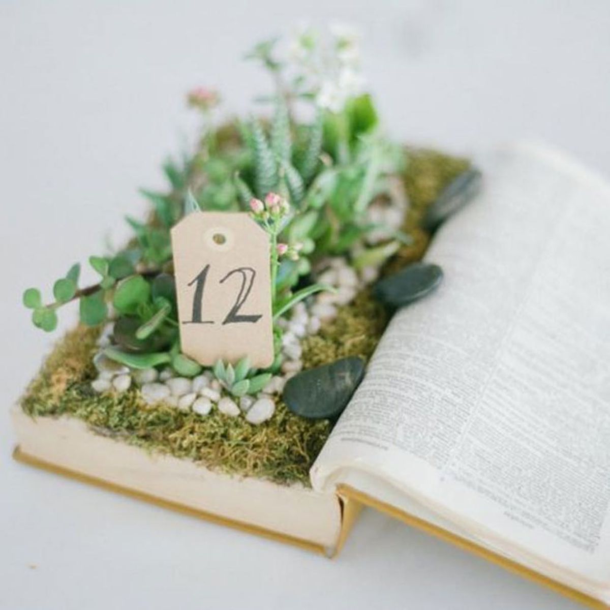 unique table numbers and escort cards wedding ideas