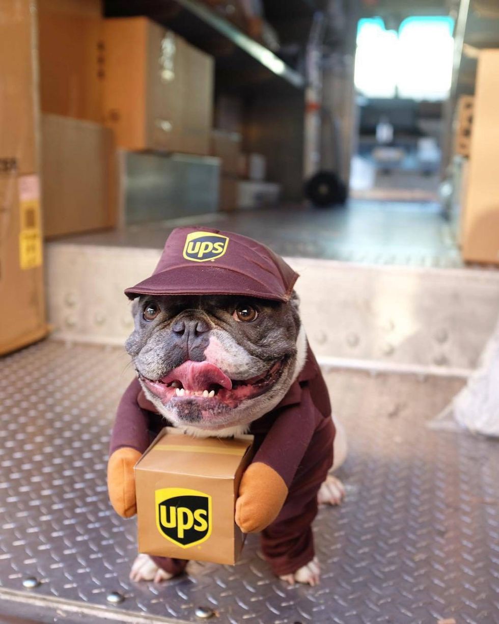 UPS Delivery Person Costume