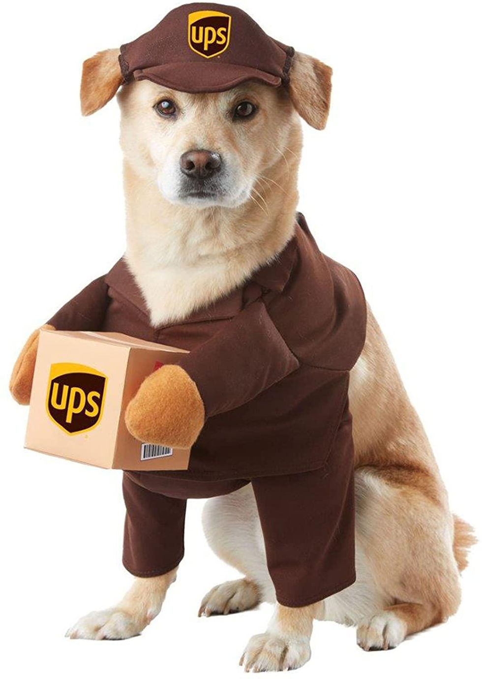 UPS dog costume