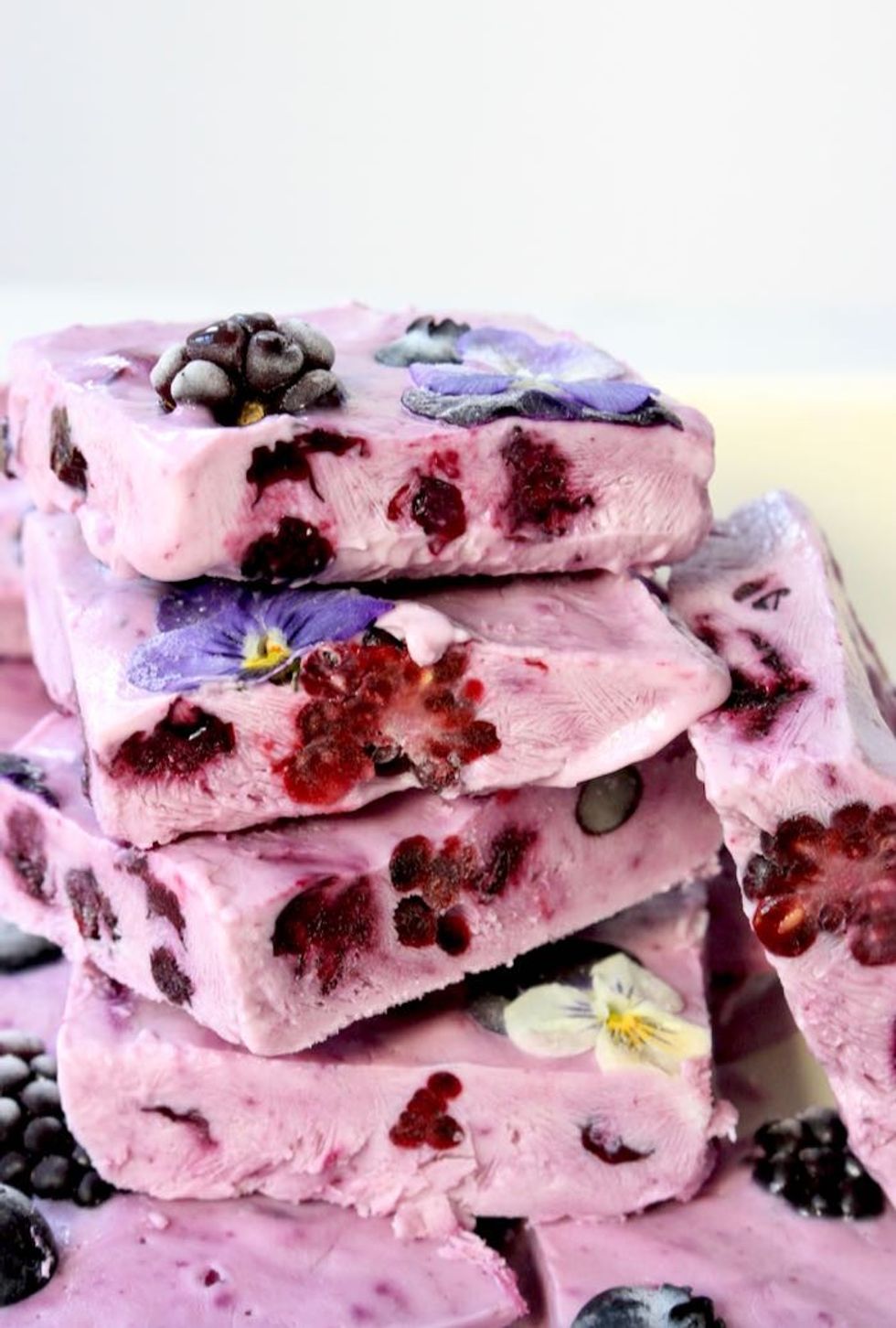 Vegan Frozen Yogurt Bars