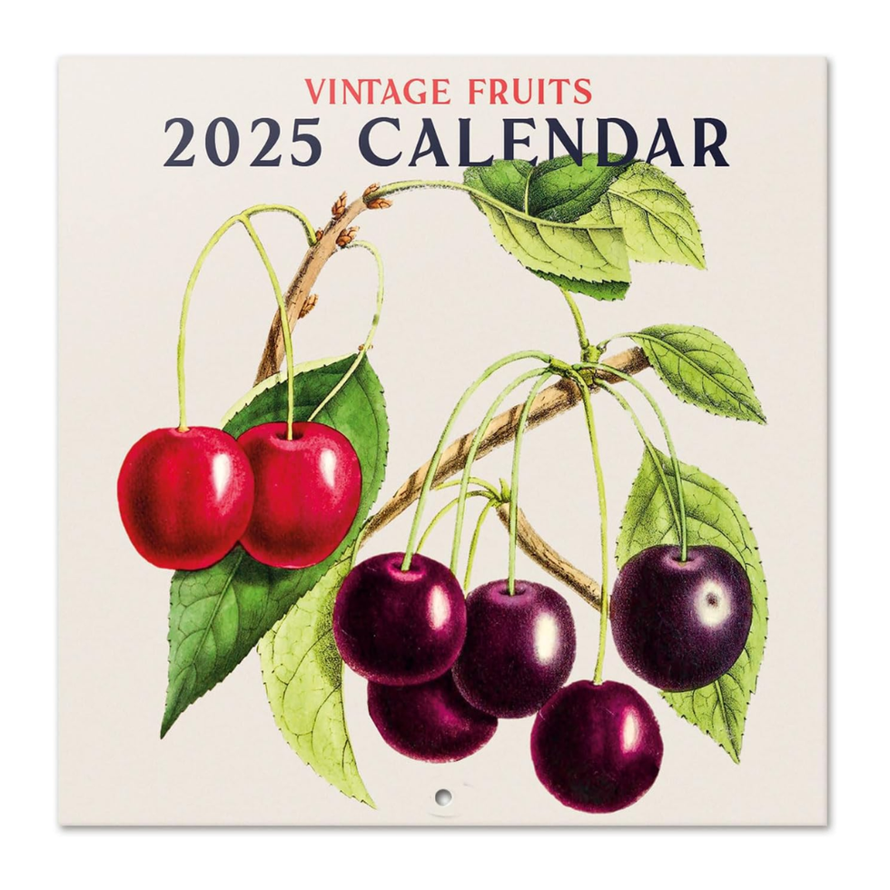 Vintage Fruits 2025 Wall Calendar