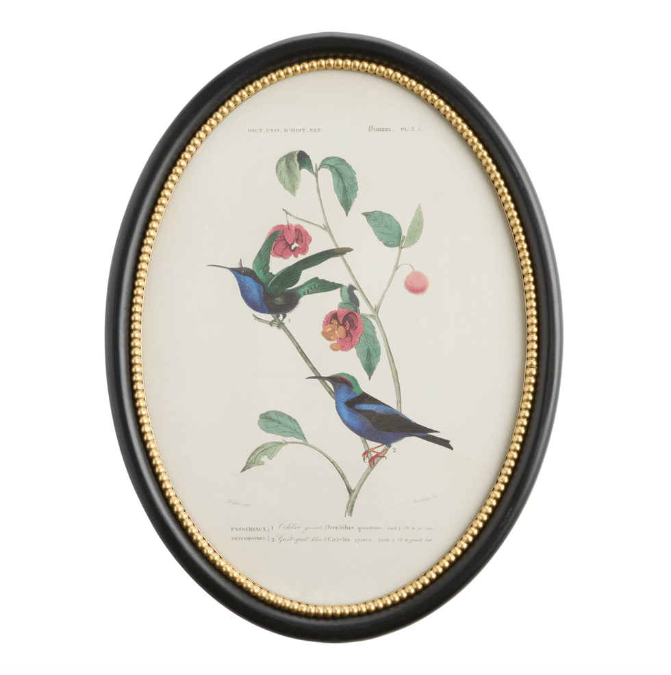Vintage illustration of hummingbirds on floral branches in an oval frame.