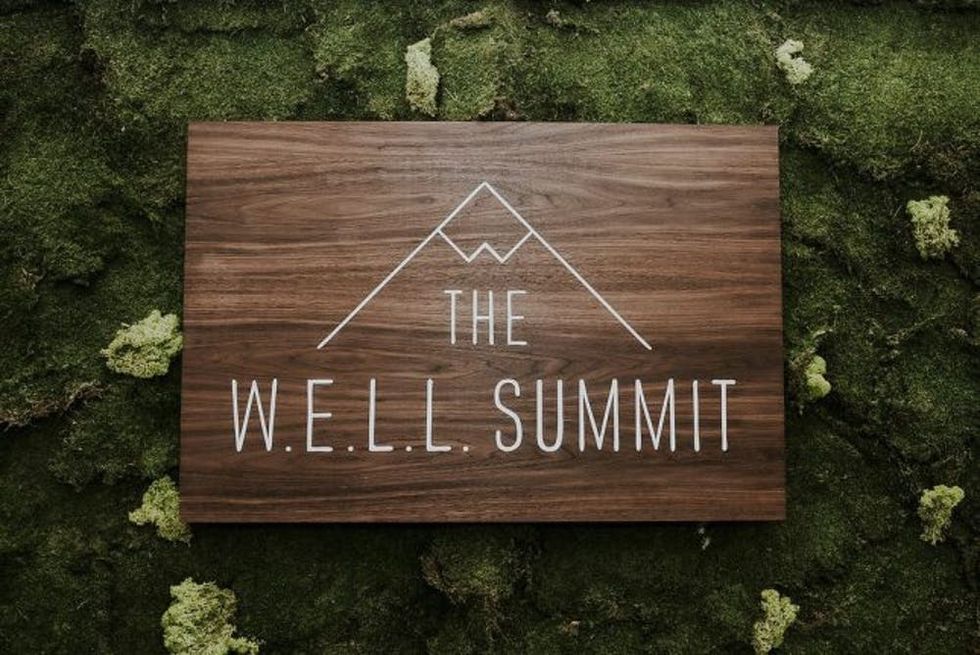 W.E.L.L. Summit