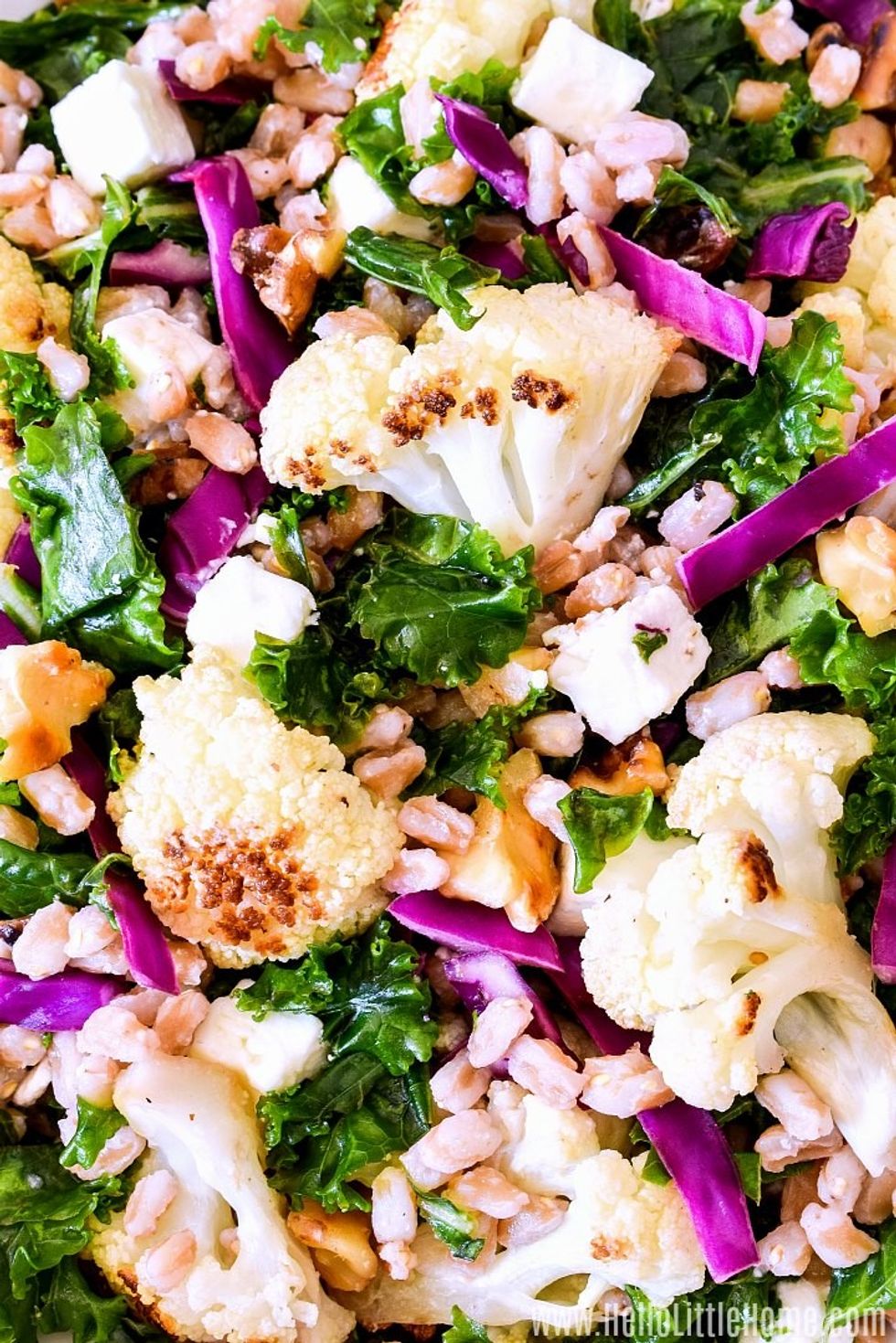Warm Farro Kale Salad