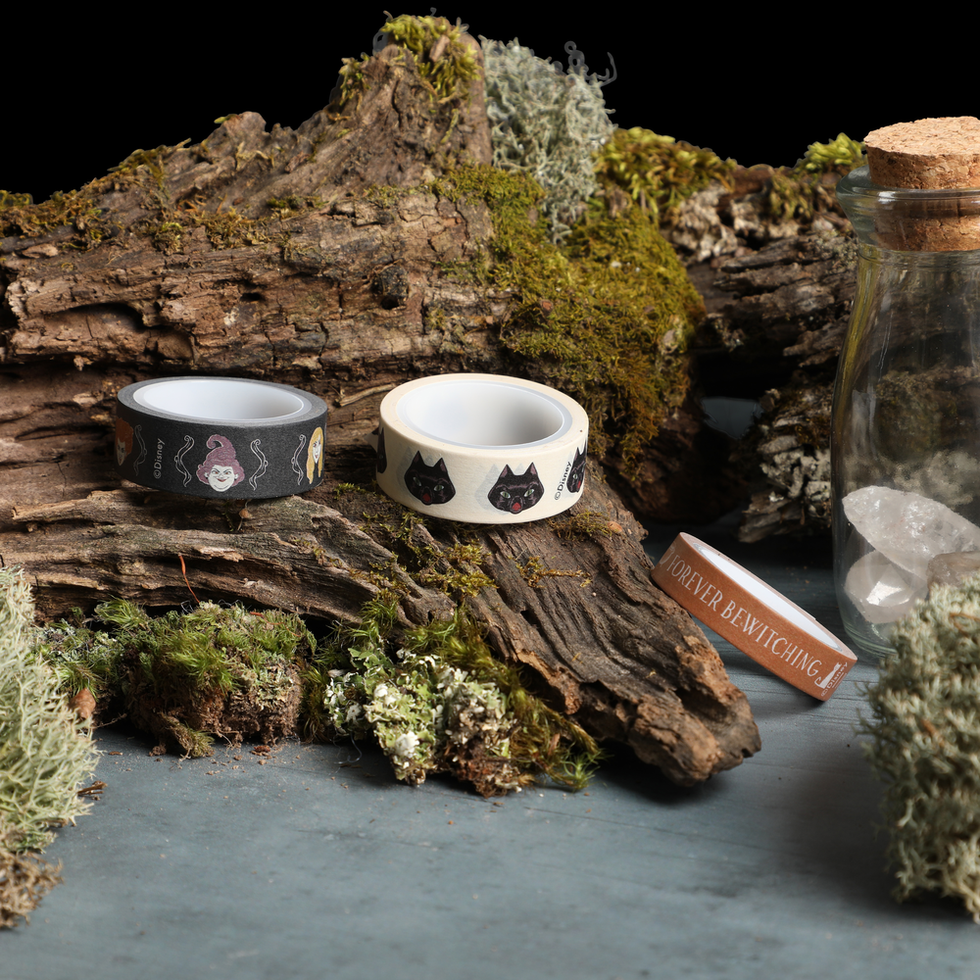 Washi Bundle disney hocus pocus