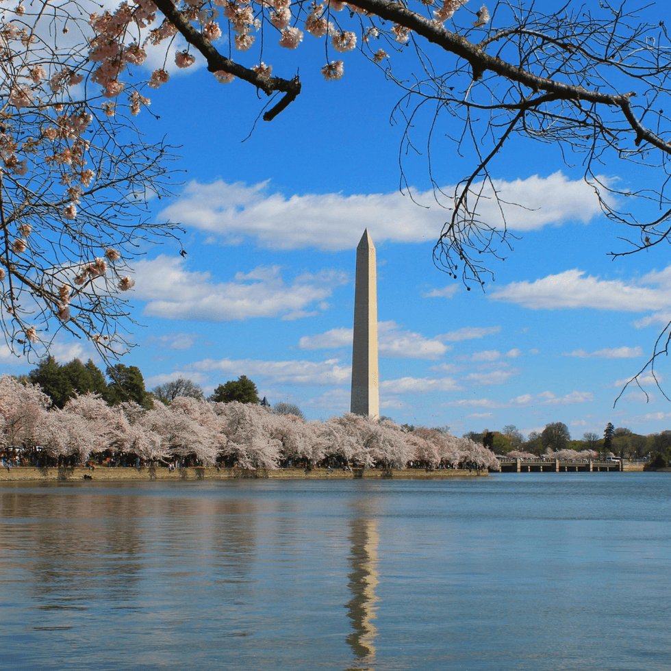 Washington, D.C.