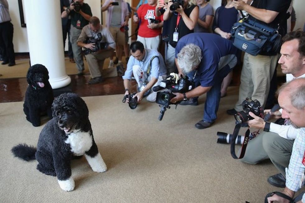 WASHINGTON, DC - JULY 01: Visitors and journalists make photographs of the first family's dogs Bo and Sunny on the first day that photograph is allowed during White House tours July 1, 2015 in Washington, DC. Wednesday's lifting of the 40-year-old ban on photography during White House tours allows small cameras to be used and comes with its own social media hashtag, #WhiteHouseTour. (Photo by Chip Somodevilla/Getty Images)
