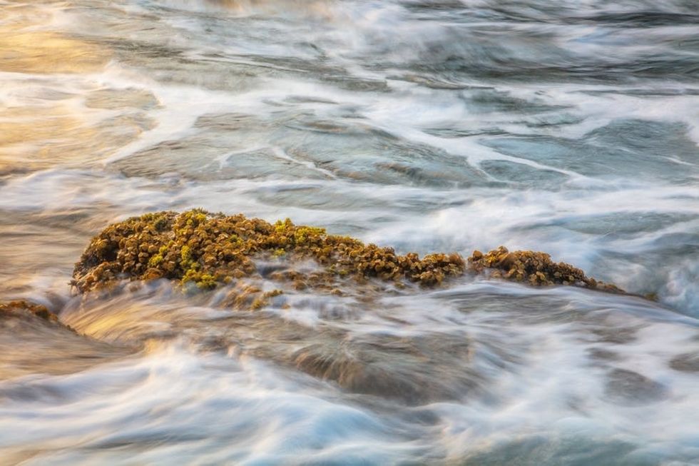 Water, Julieanne Kost