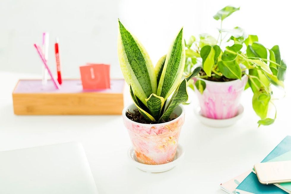 watercolor-planter-final-7