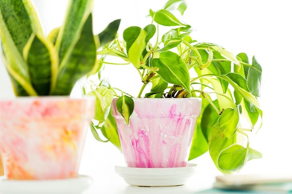 watercolor-planter-final-9