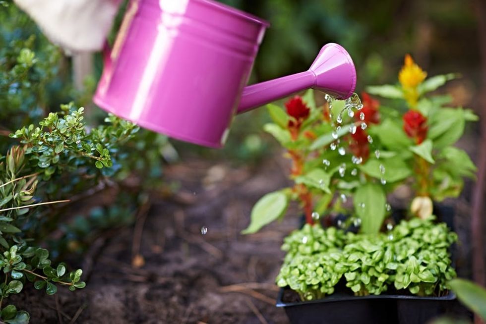 Watering Can