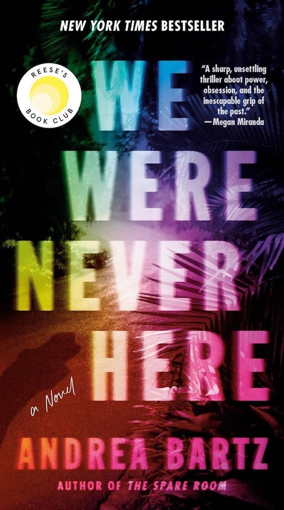 We Were Never Here by Andrea Bartz