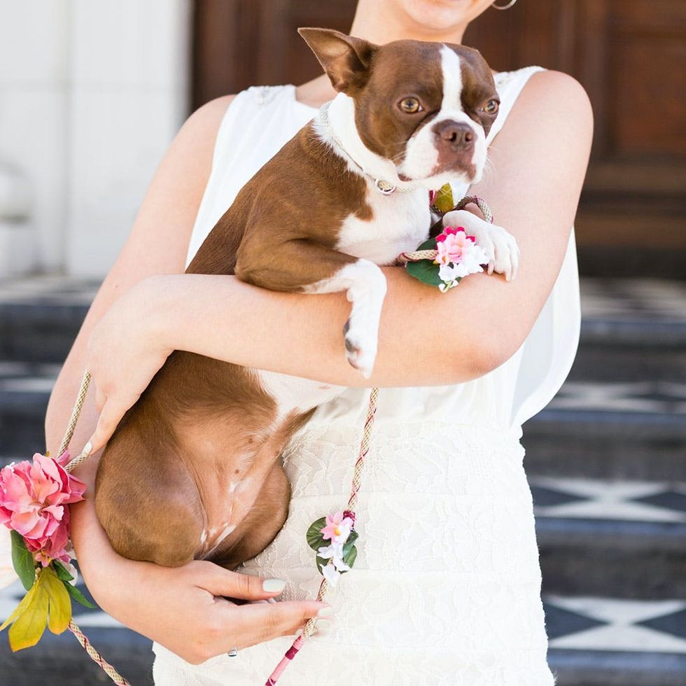 Wedding_Dog_Leash_021