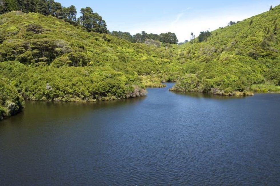 Wellington, North Island, Wellington, New Zealand, Australasia