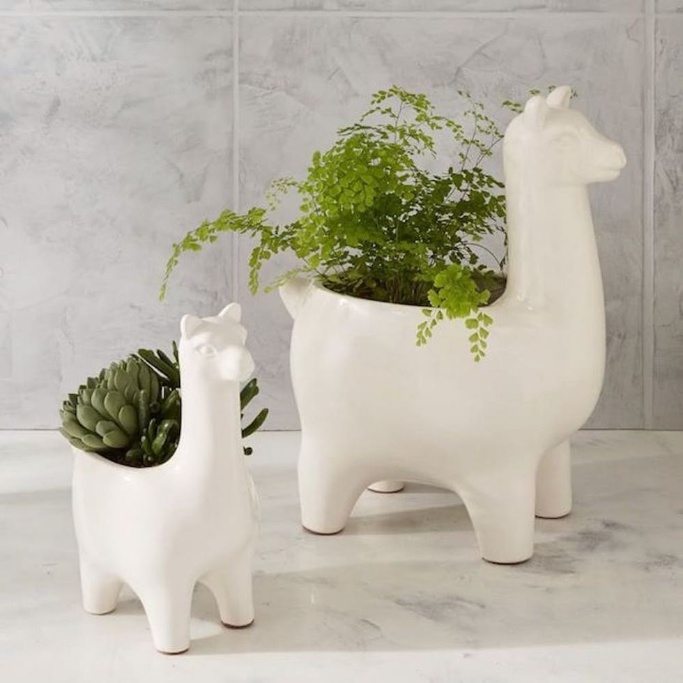 West Elm Llama Planter