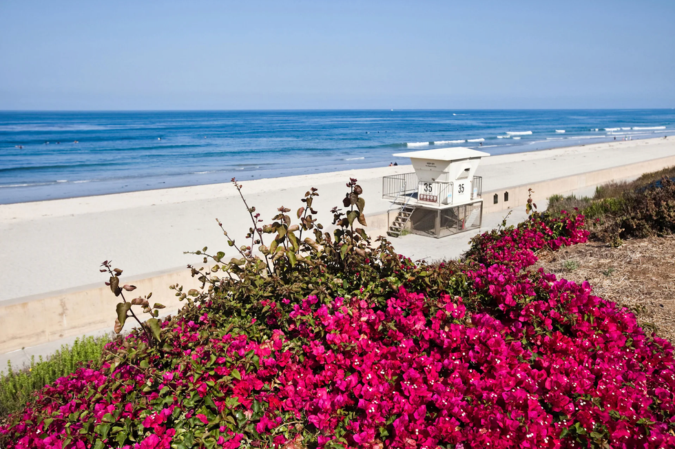 westin carlsbad resort and spa