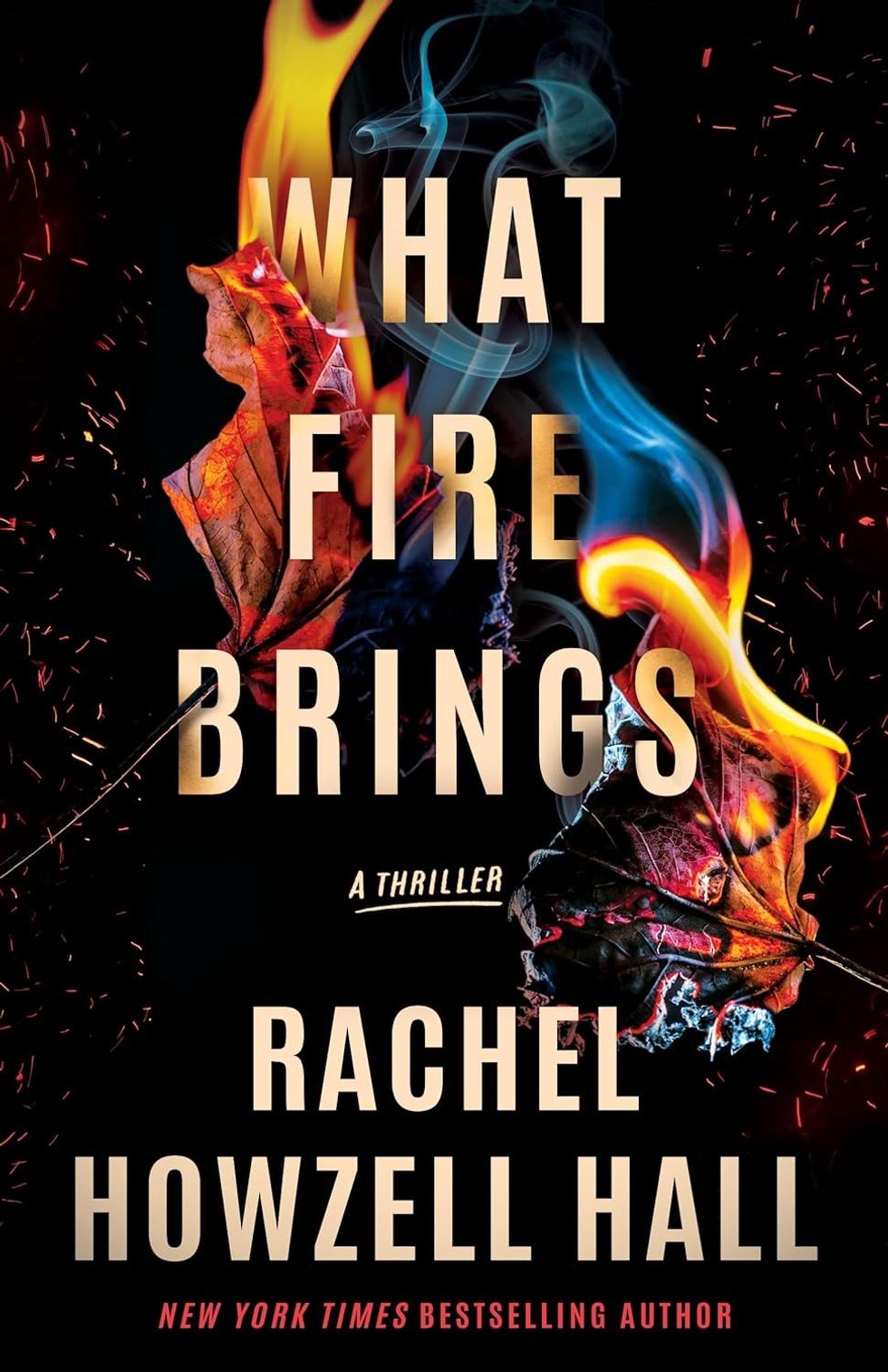 What Fire Brings by Rachel Howzell Hall
