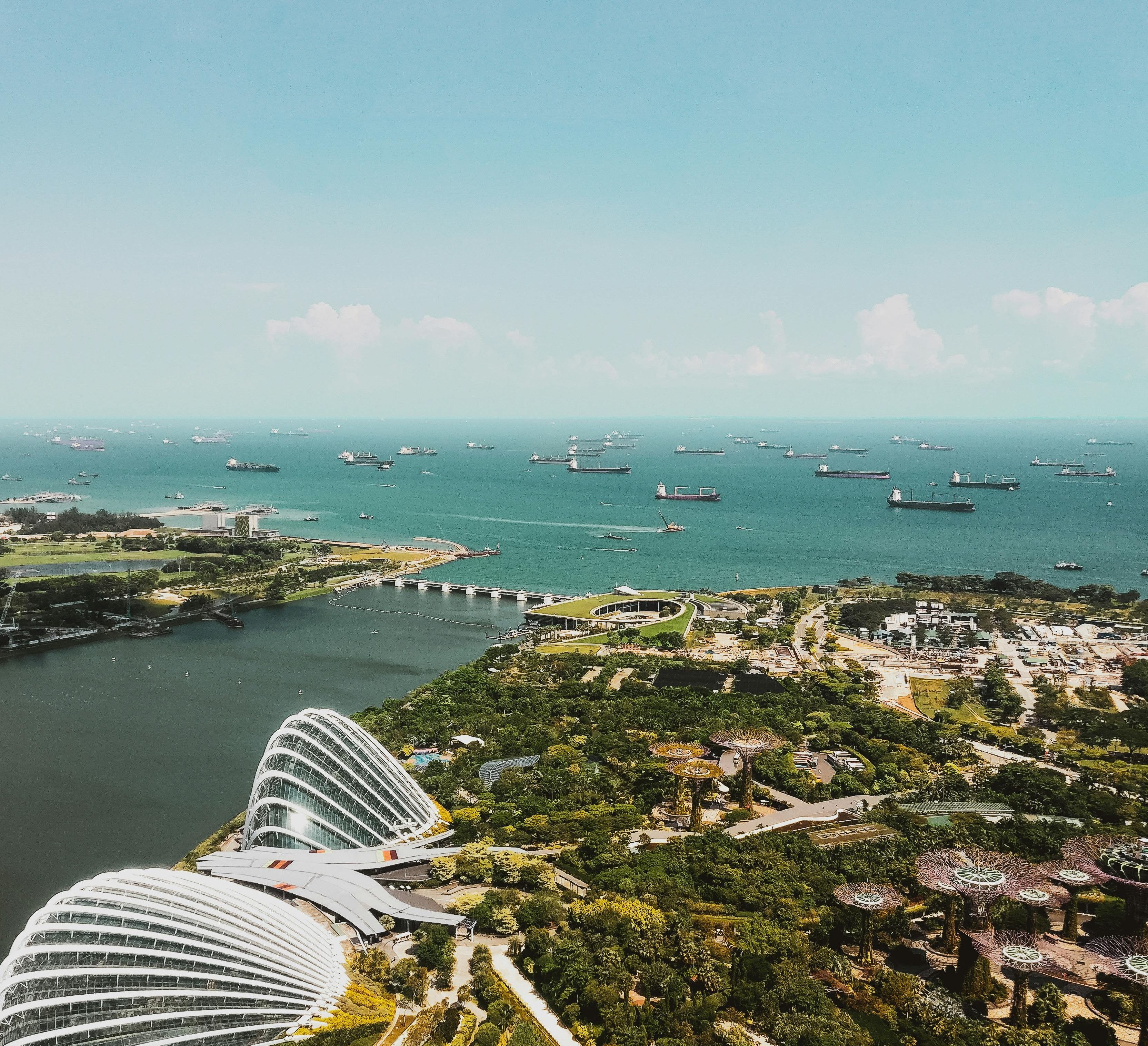 what to do in singapore