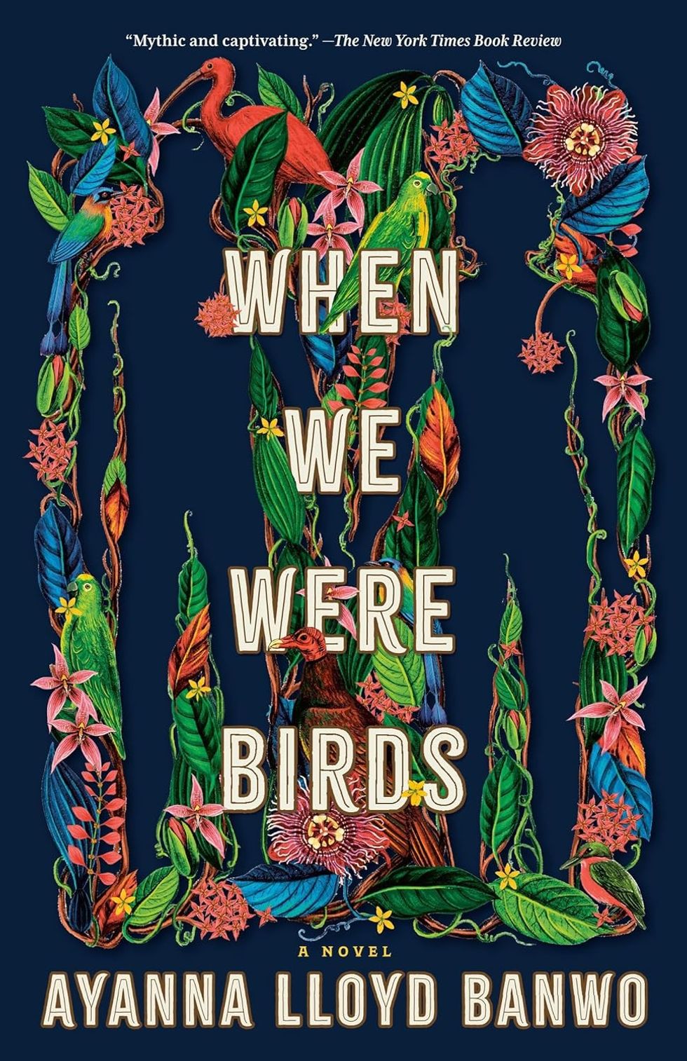 When We Were Birds