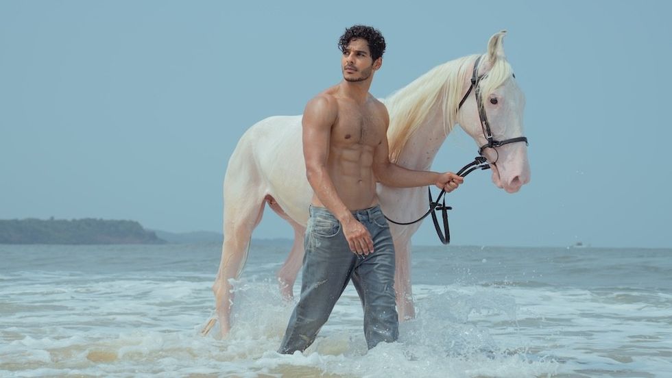 Where can I watch The Royals