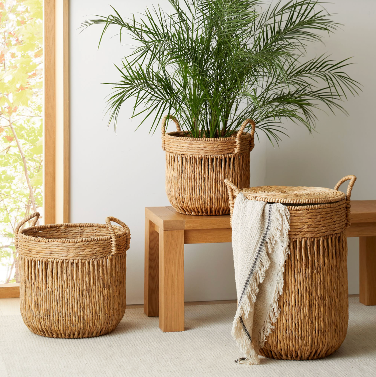 Wicker baskets and a plant on wooden bench in bright room with a window.