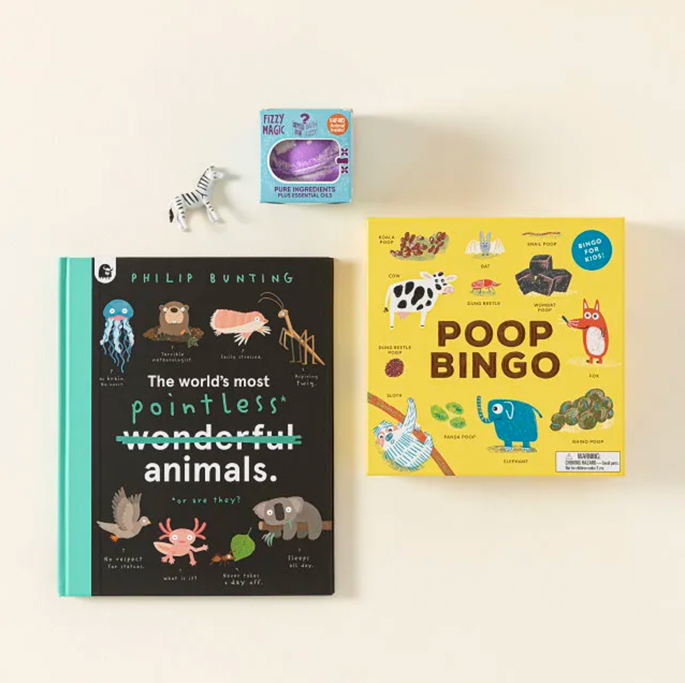 wild animals for kids